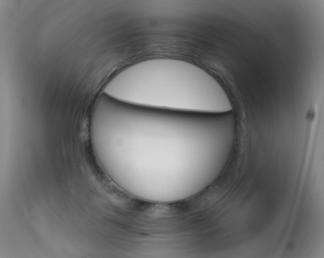 X0000111930123200907271323