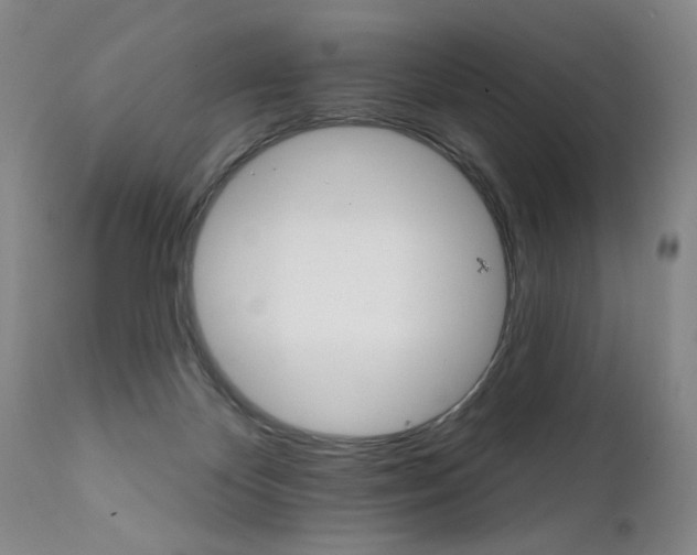 X0000111930124200907271323
