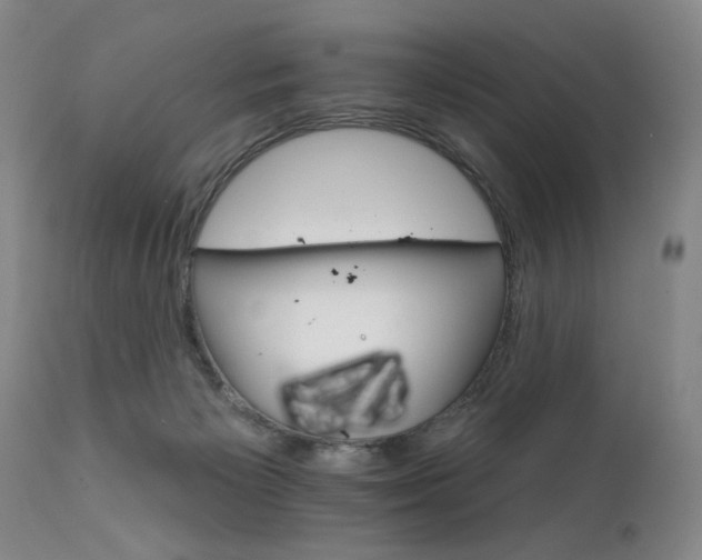 X0000111930125200907271323