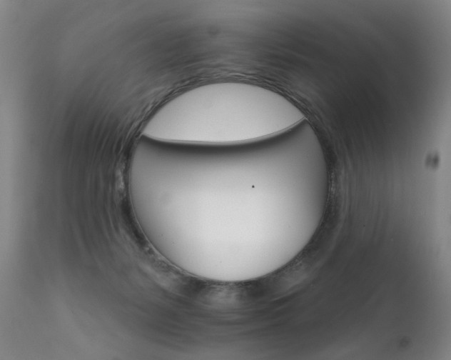 X0000111930127200907271323
