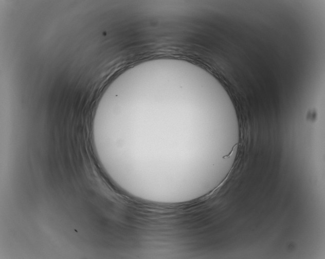 X0000111930128200907271323