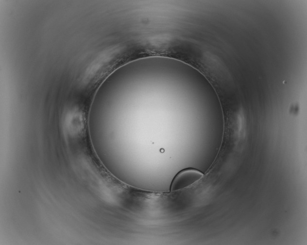 X0000111930130200907271323