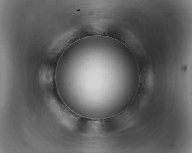 X0000111930131200907271323