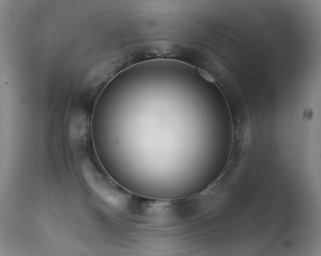 X0000111930132200907271323