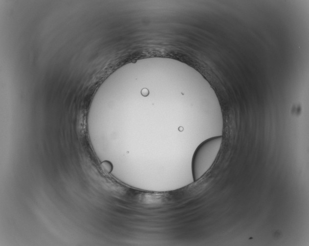 X0000111930134200907271323
