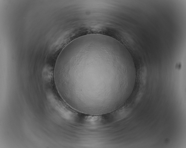 X0000111930135200907271323