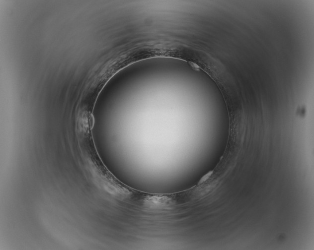 X0000111930137200907271323
