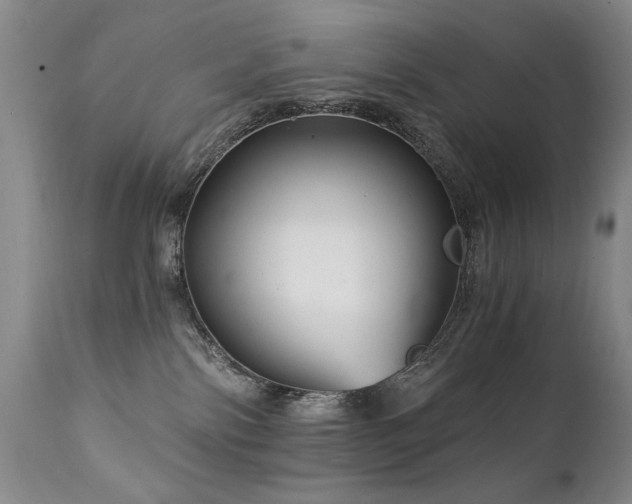 X0000111930138200907271322