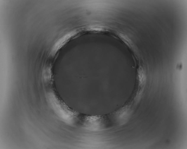 X0000111930139200907271322