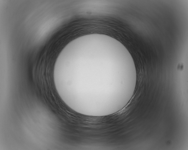 X0000111930140200907271322
