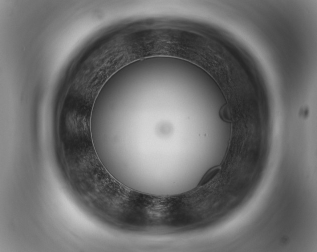 X0000111930142200907271322