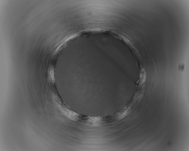 X0000111930143200907271322