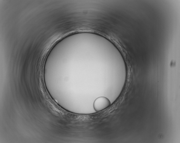 X0000111930145200907271321