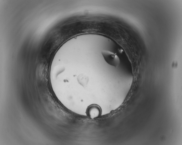 X0000111930146200907271321