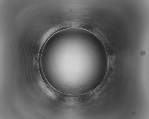 X0000111930147200907271322