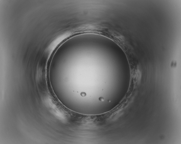 X0000111930148200907271322