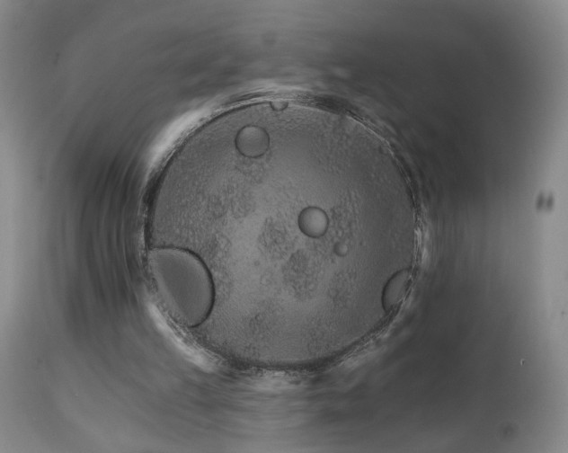 X0000111930149200907271322