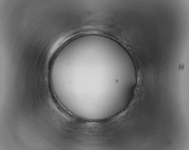 X0000111930150200907271322
