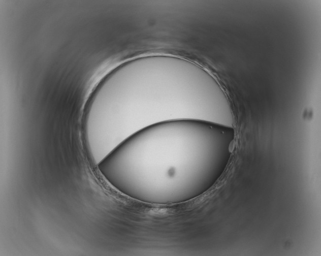 X0000111930152200907271322