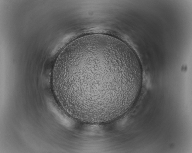 X0000111930153200907271322