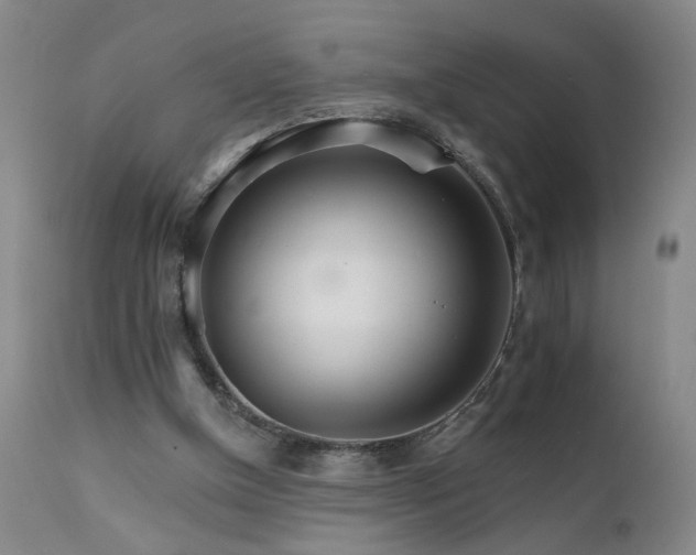 X0000111930154200907271322