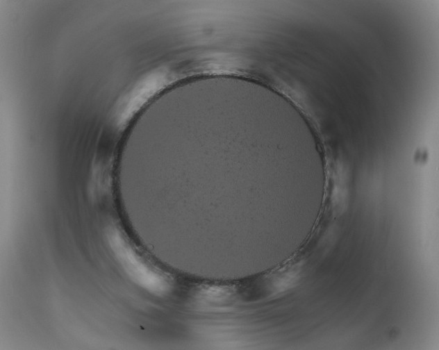 X0000111930155200907271322