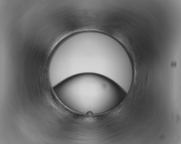 X0000111930156200907271322