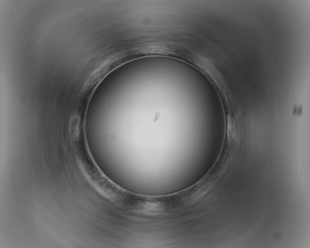 X0000111930157200907271322