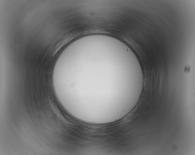 X0000111930158200907271322