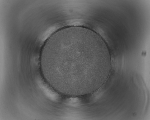 X0000111930159200907271322