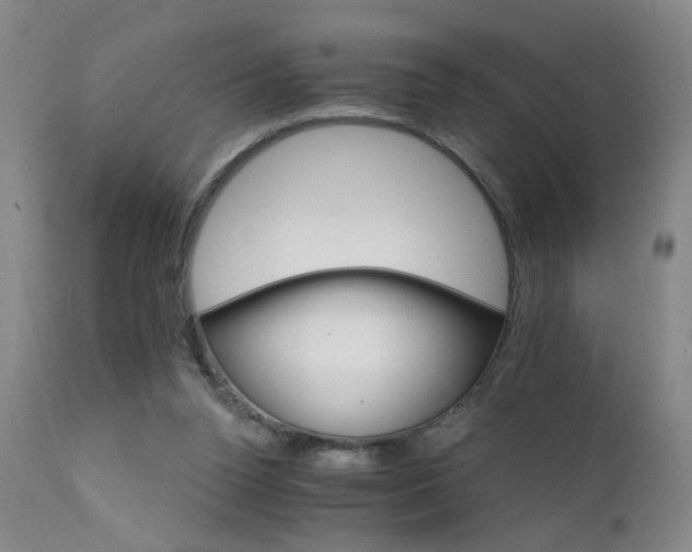 X0000111930160200907271322