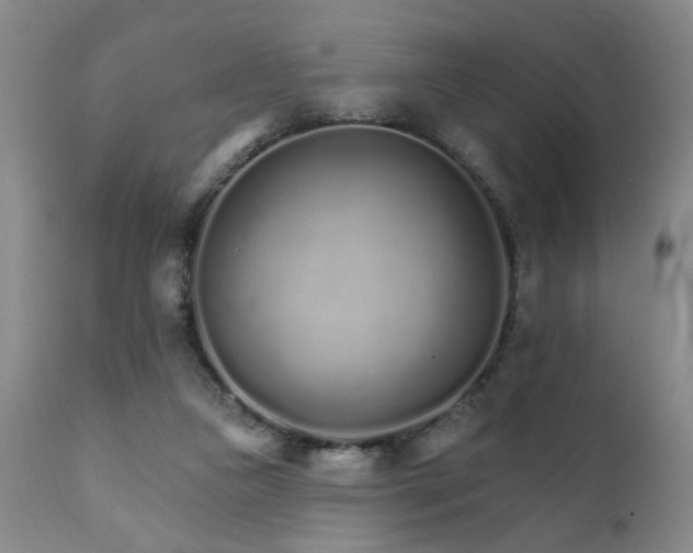 X0000111930161200907271322