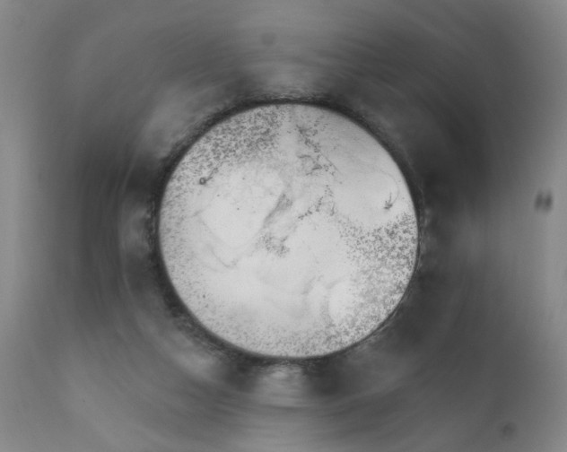 X0000111930162200907271322