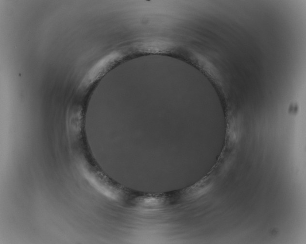 X0000111930163200907271322