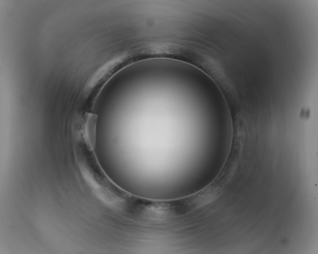 X0000111930164200907271322