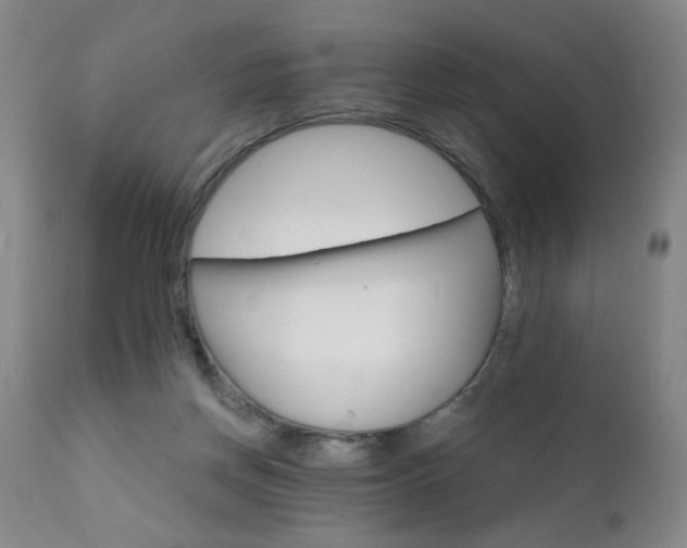X0000111930166200907271322