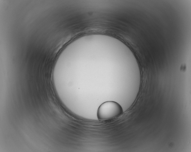 X0000111930168200907271322