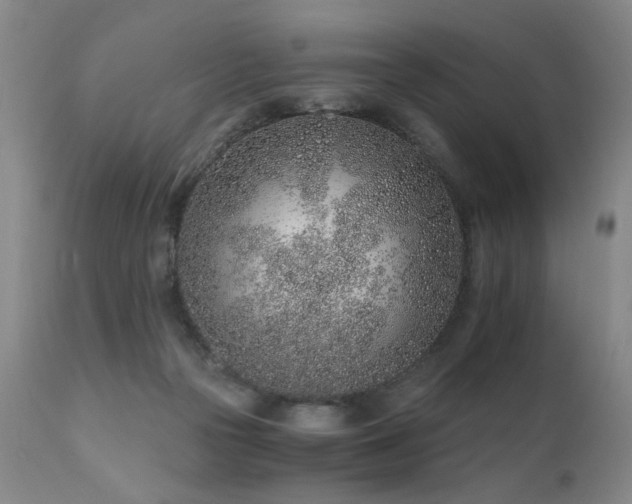 X0000111930169200907271322