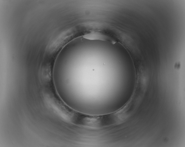X0000111930170200907271322