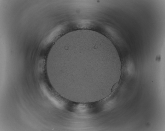 X0000111930171200907271322