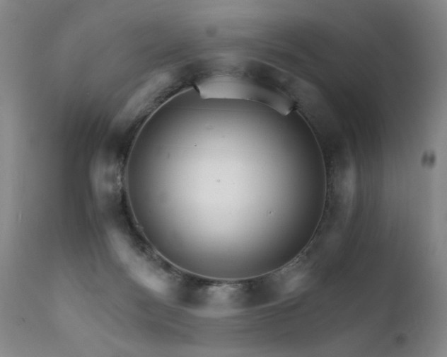 X0000111930172200907271322