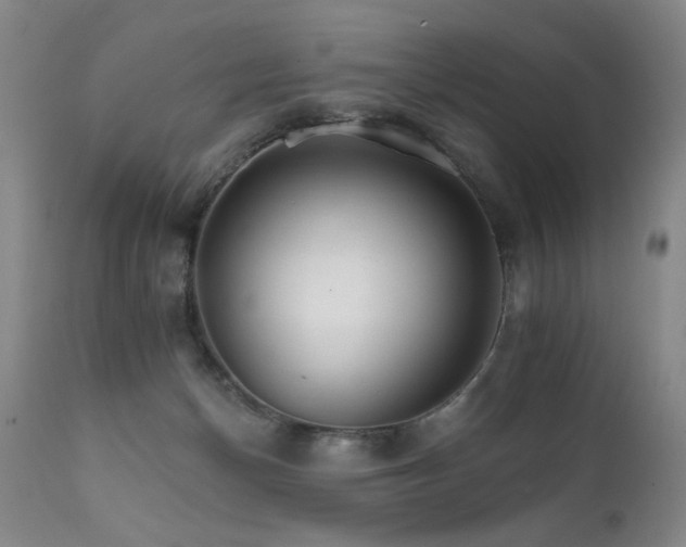 X0000111930174200907271322