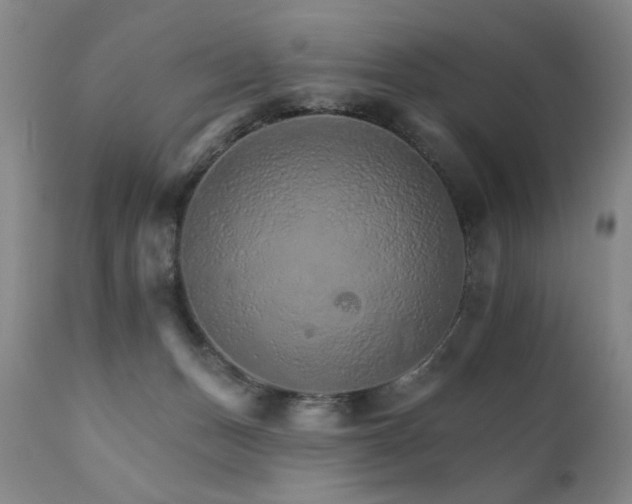 X0000111930175200907271322