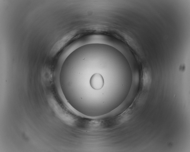 X0000111930176200907271322