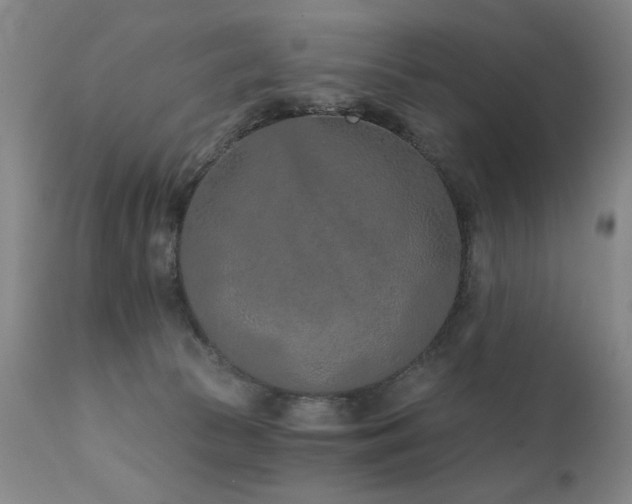 X0000111930177200907271322