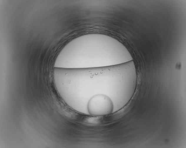 X0000111930178200907271322