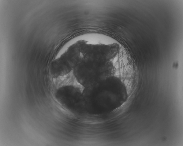 X0000111930179200907271322