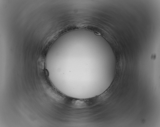 X0000111930180200907271322