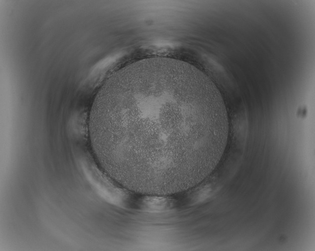 X0000111930181200907271322