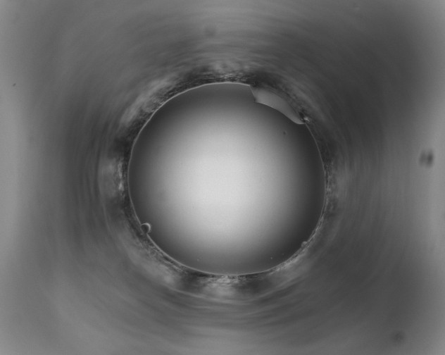 X0000111930182200907271322